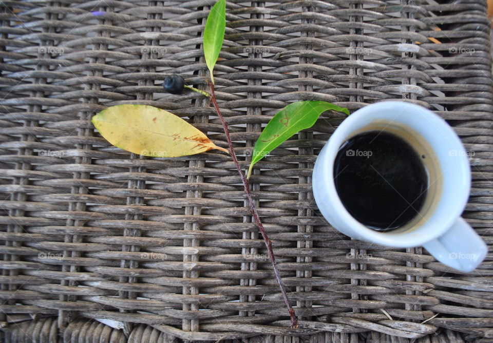 A cup of espresso and a branch with leaves on the table