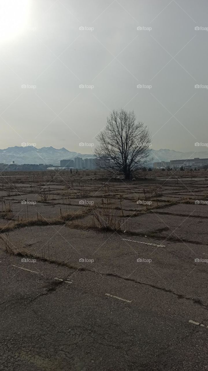 mountains on the snow but no snow in the city