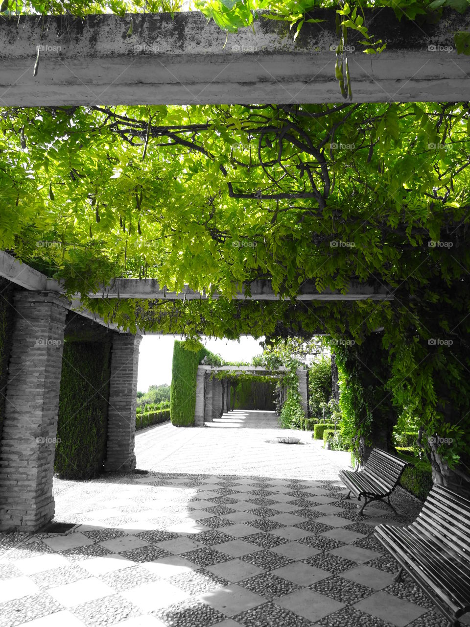 Green Arbor