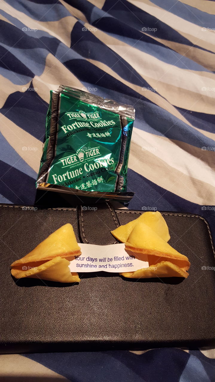 Fortune Cookies