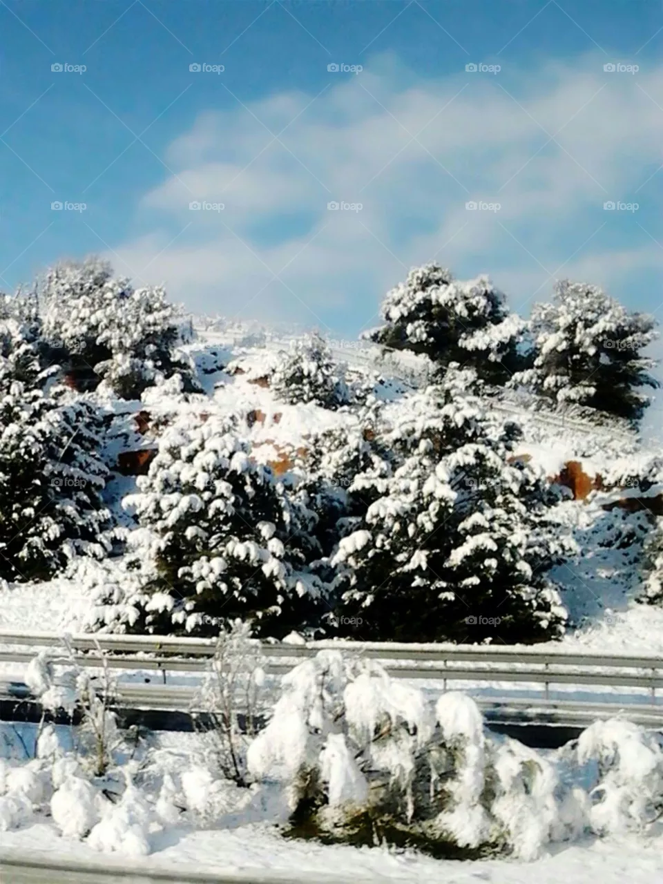 cold