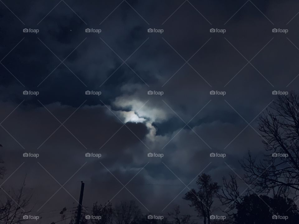 A moonlit night is a magical sight. I just love when the clouds roll through, to make the sky more interesting. 