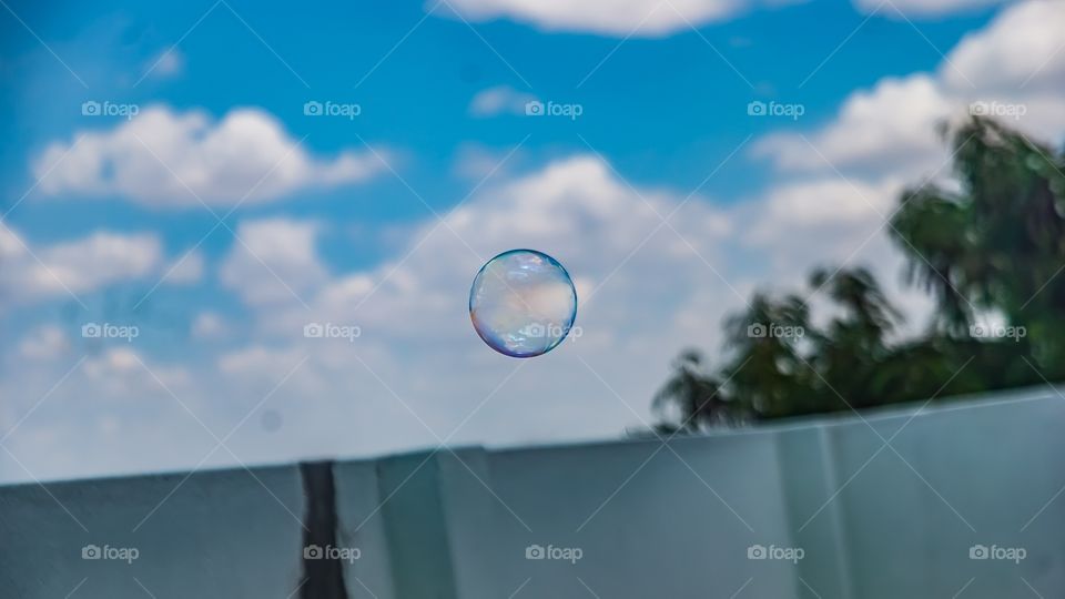 bubbles 