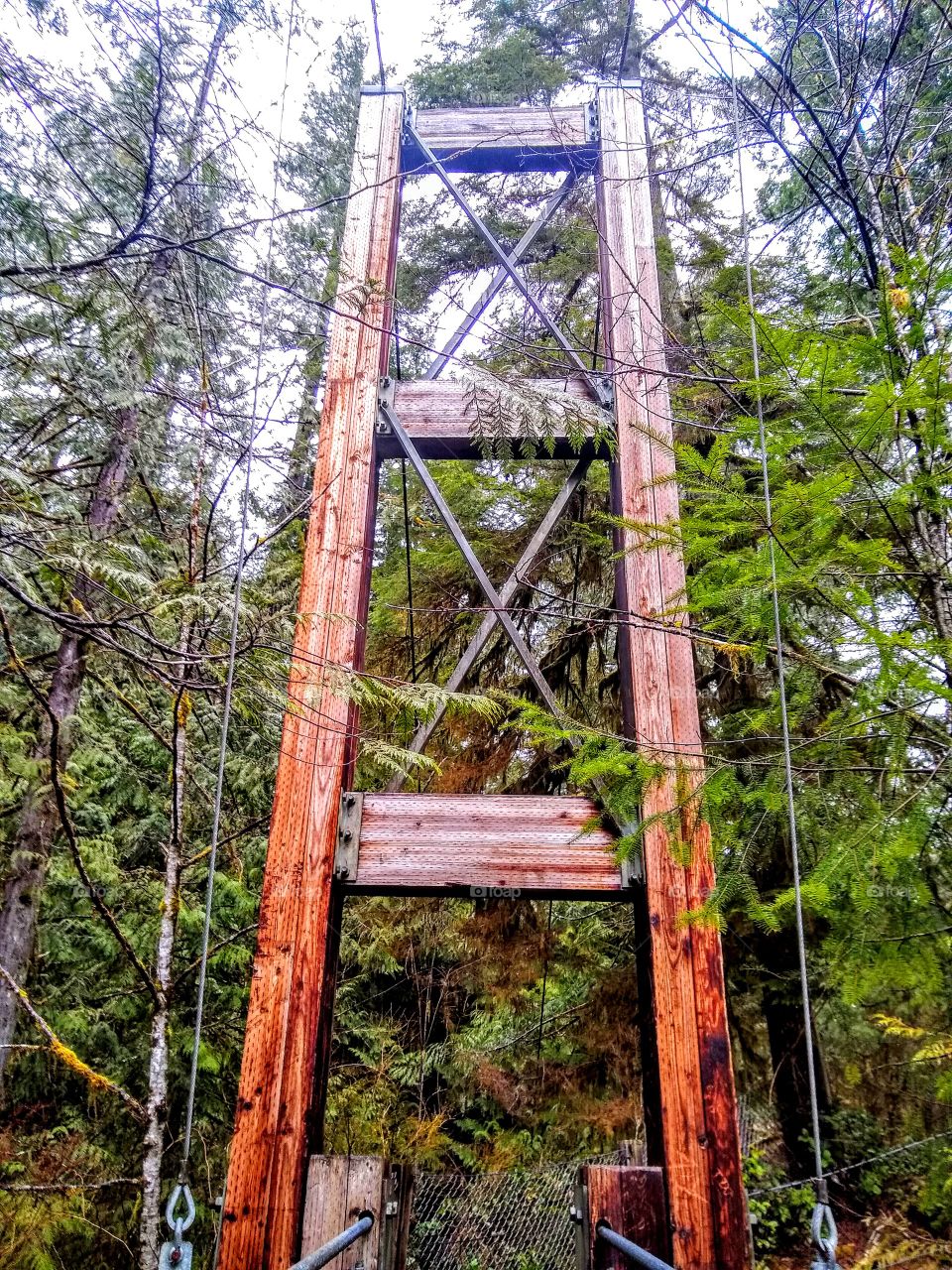 Rustic Suspension Bridge "Trees A Plenty"