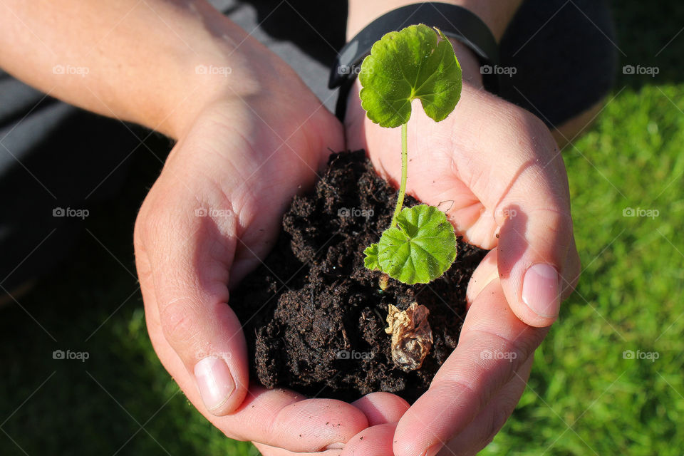 Volvo making good in your daily life entry, planting flowers and plants in the community, photo shot with a Canon EOS 1300D.