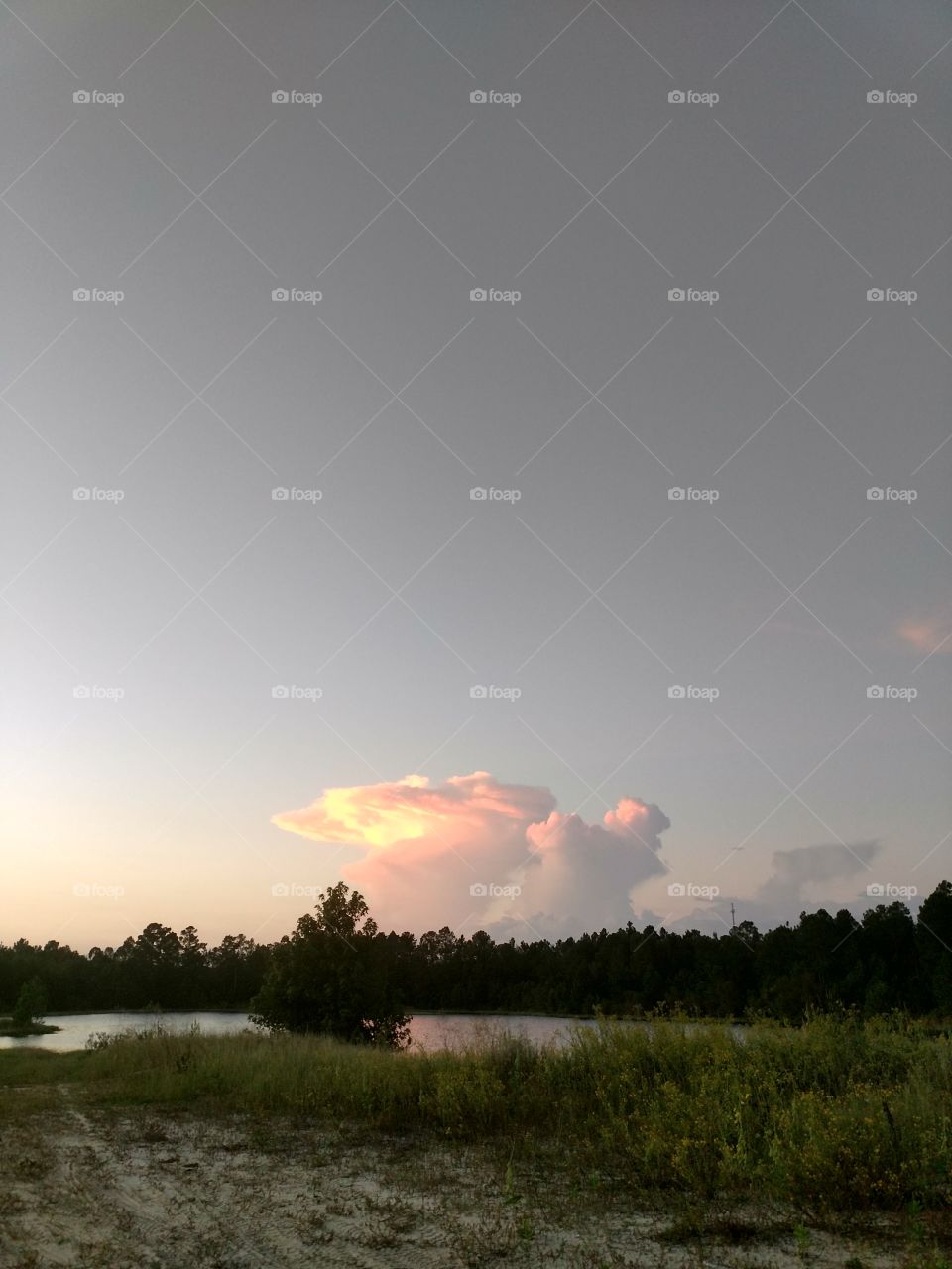 sunset, pond, evening walk