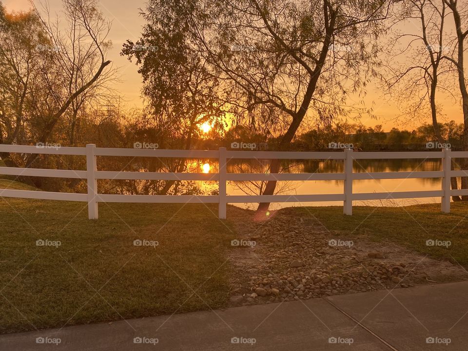 Early evening Sunset in the making. Calm flat water on lake slight breeze. Sun illuminated through the bank trees. 