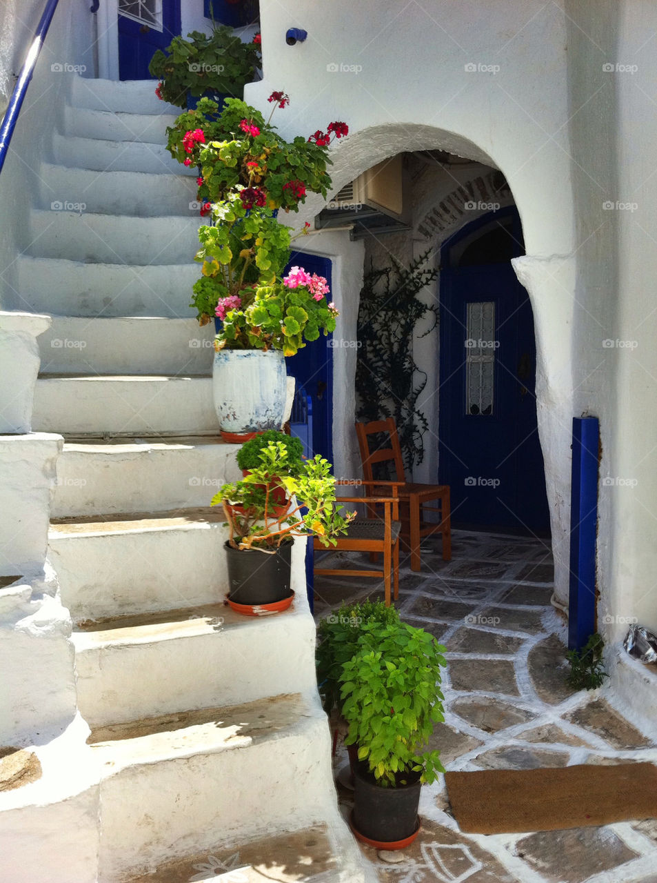 summer plant greece yard by flatwave