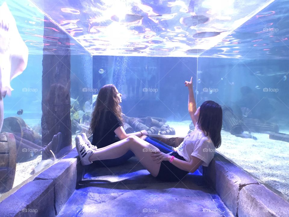 Visit to the aquarium 