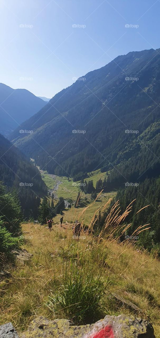 Climbing to Moldoveanu peak