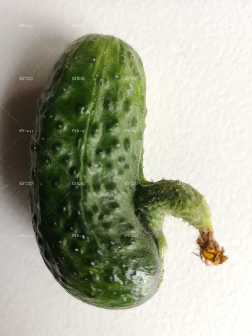 Funny cucumber isolated on white bacground