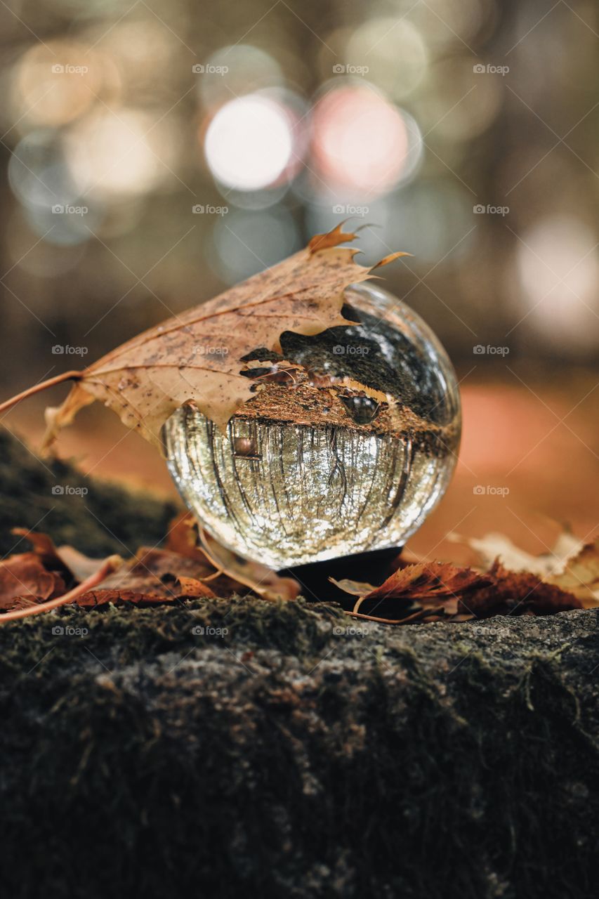 Photo of a crystal ball in nature 