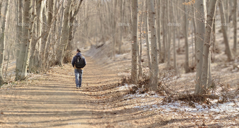 Forest hike