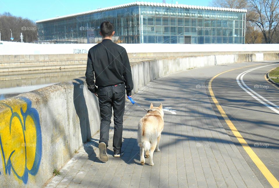 Street, Dog, One, People, Road