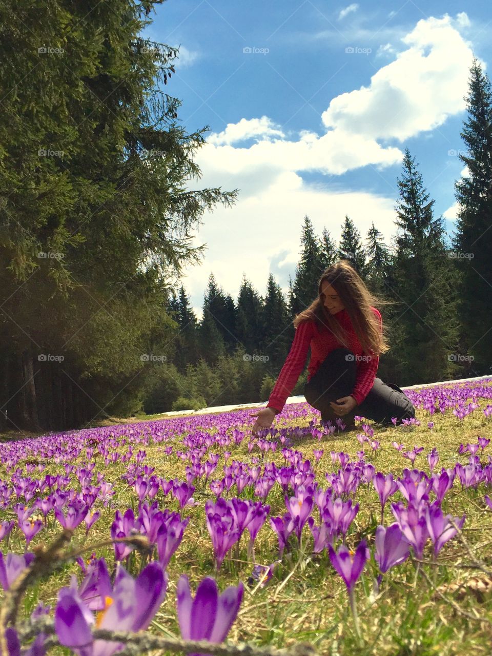 Woman sitting on flower field