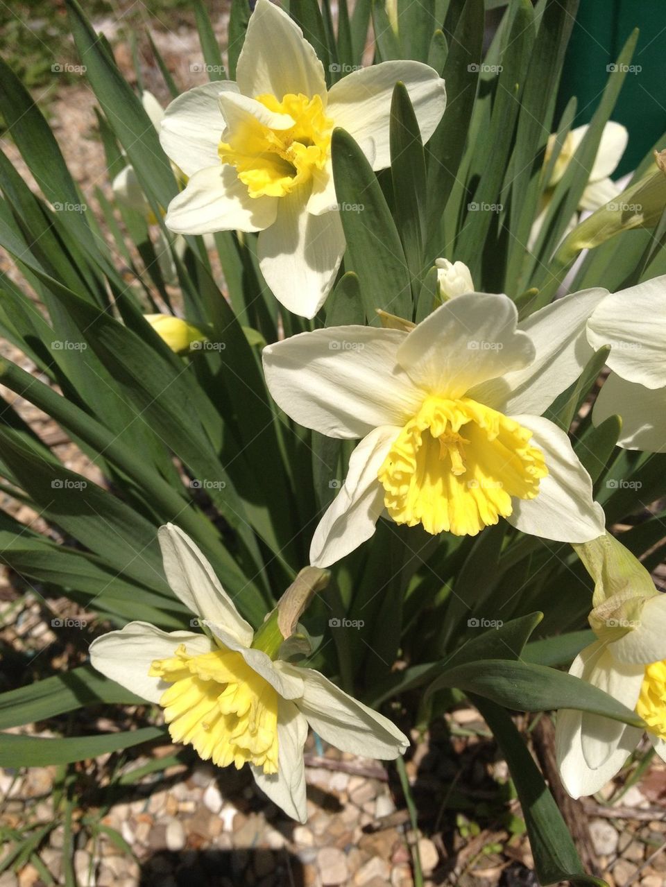 Spring Has Finally Sprung!