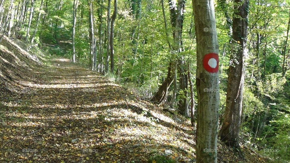 Good weather and well marked path A and B Are closer than ever