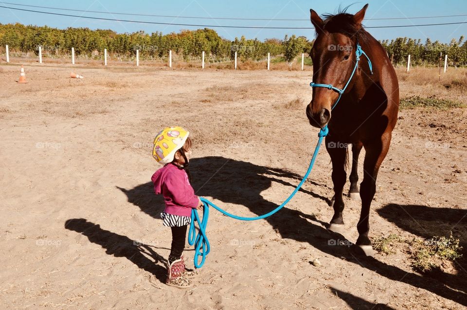 Are you ready for a walk? 