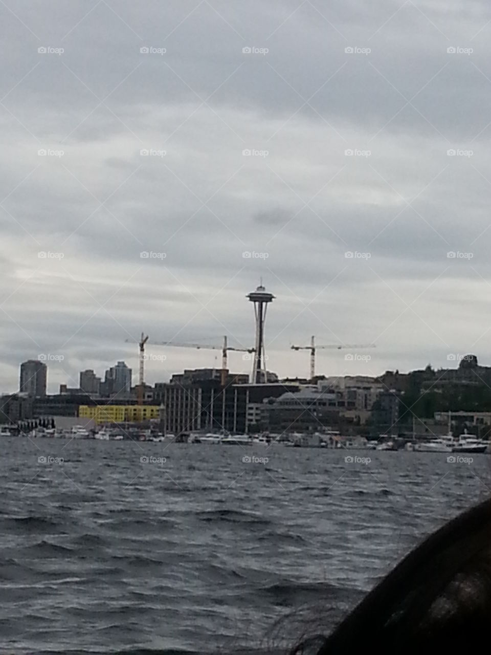 Seatle from the lake