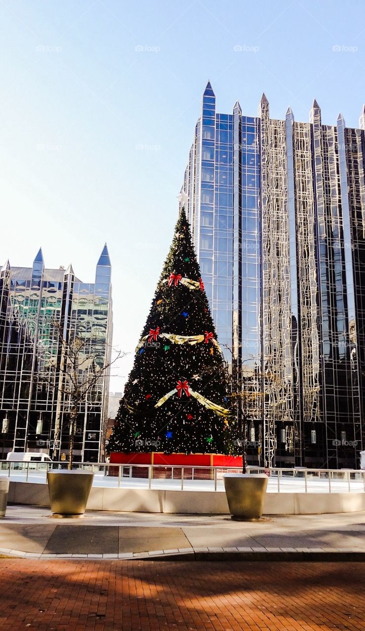 Tree at PPG