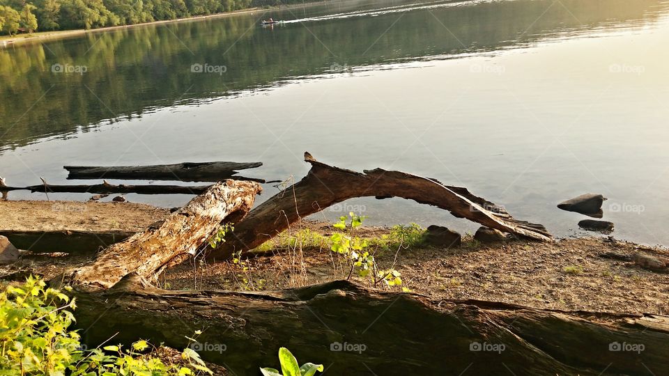 drift wood. Devils Lake south shore
