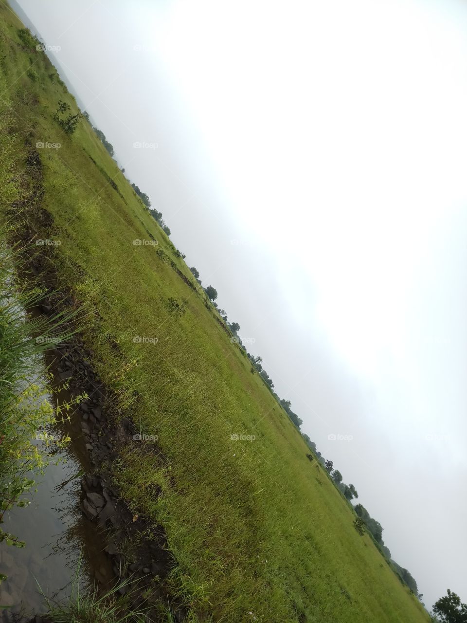 BBB.one fine evening .. beautiful grassland..with rain water and sky nature's.. fantastic view's