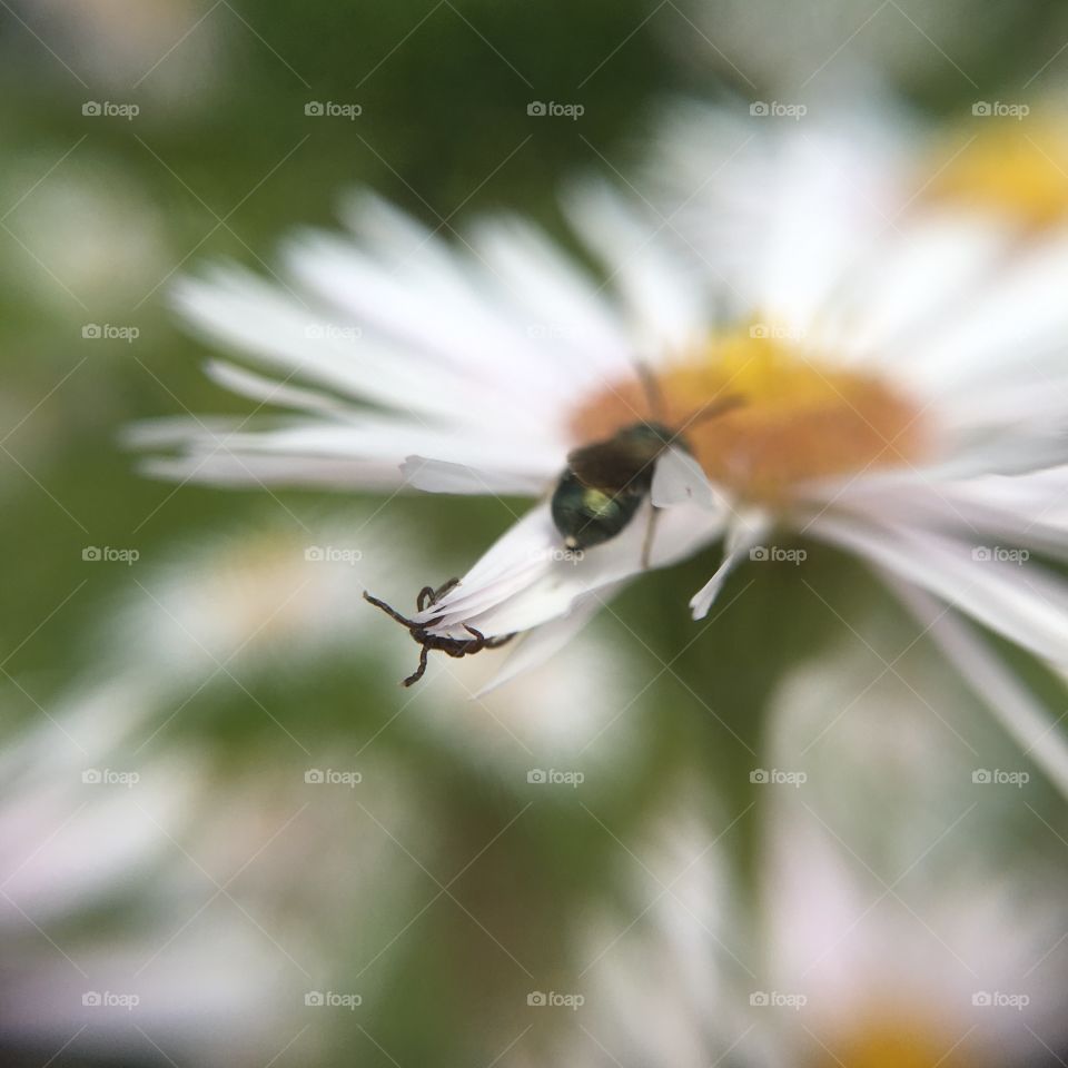 Spy right behind you