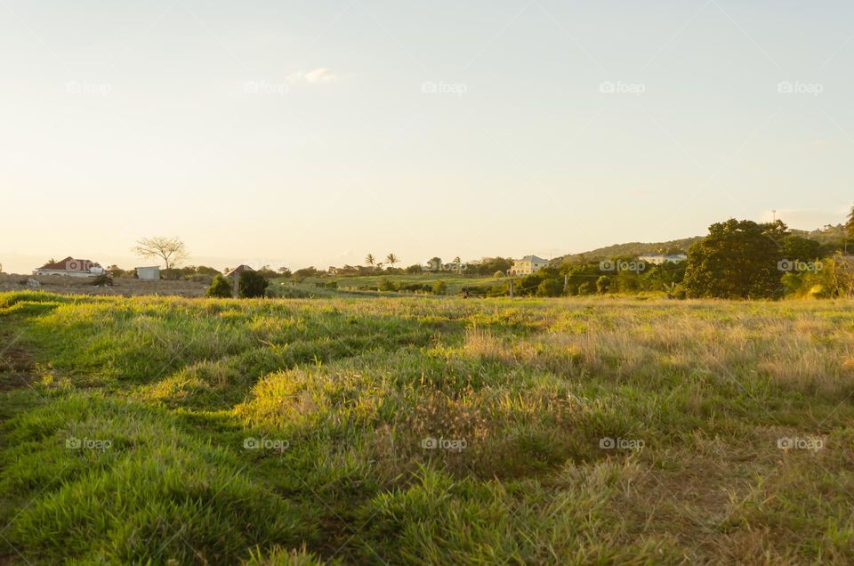 Evening Sunlight On Landscape