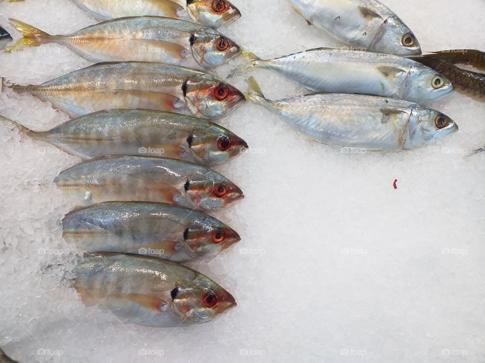 Fishes displayed on tray