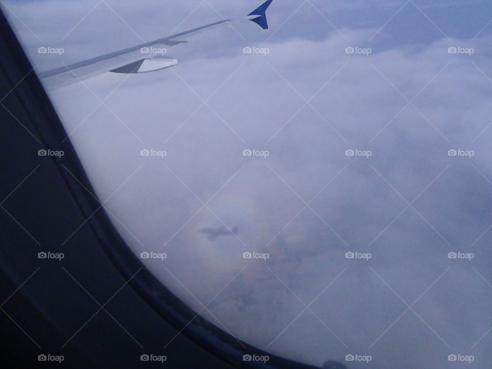 Shadow. Airplane shadow caught on the clouds 