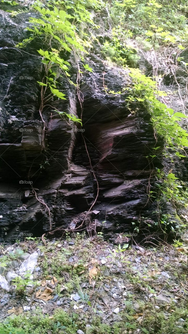 Shale. in the woods behind the courthouse in Newton NJ