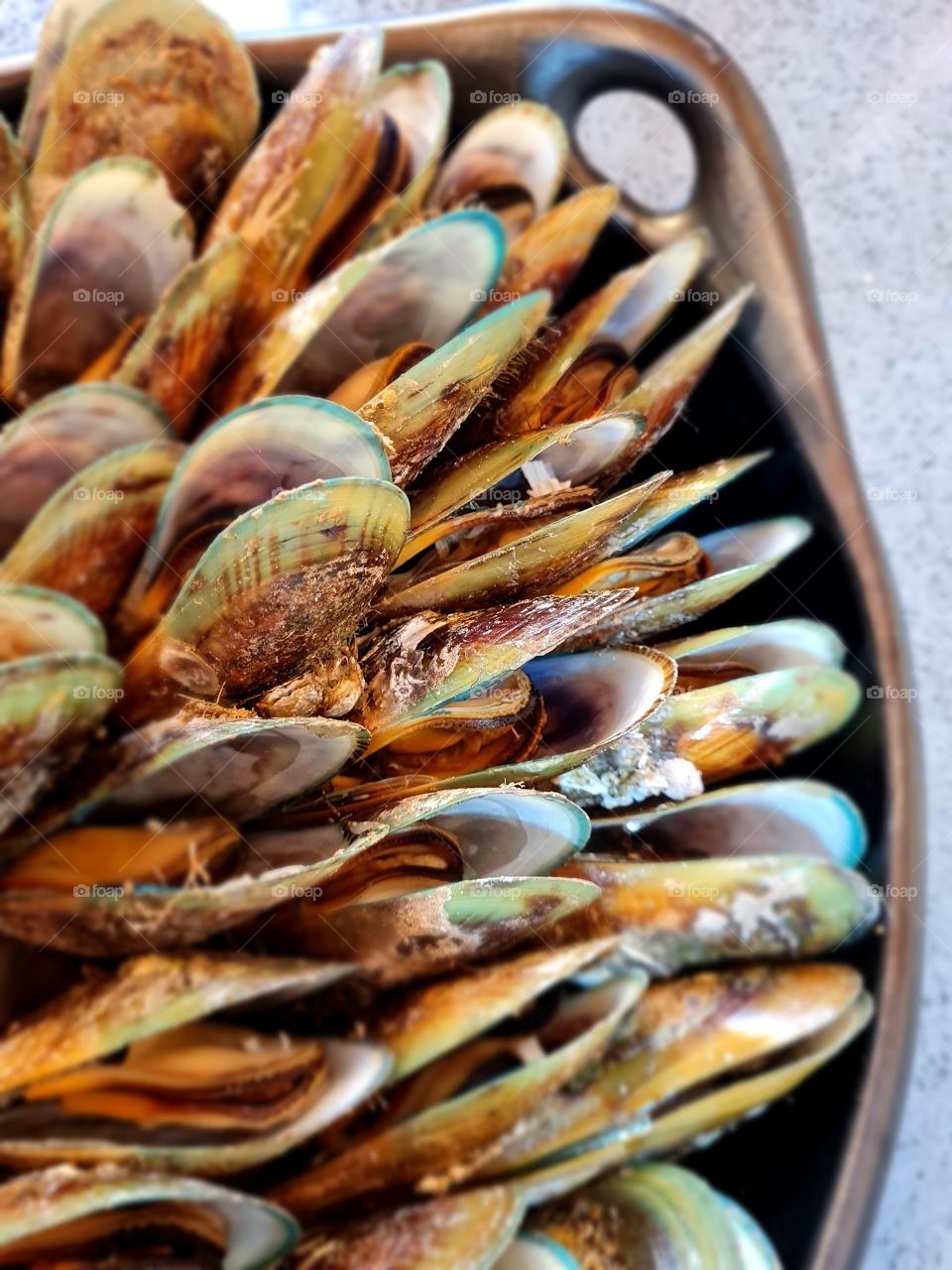 Green lipped nz mussels