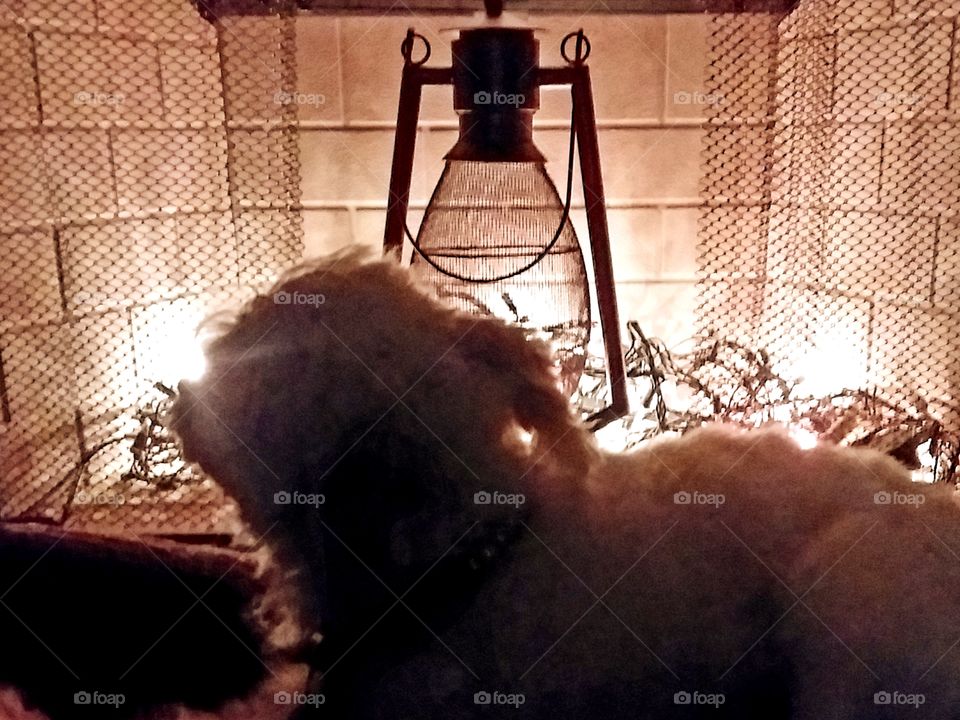 close up of glowing nose