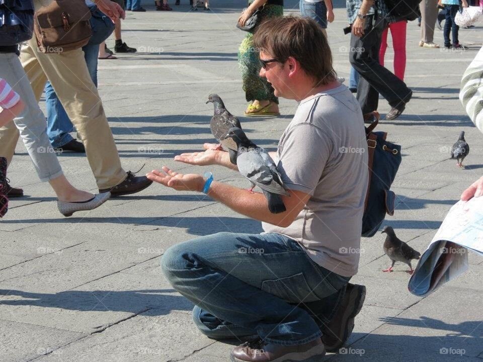 Pigeons in Venice 