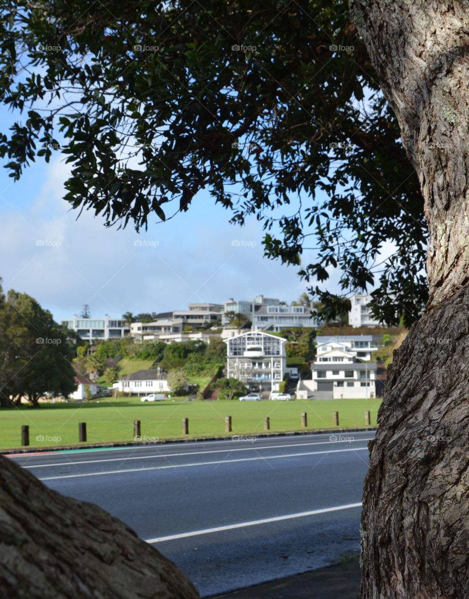 Auckland, seen from Harbour 