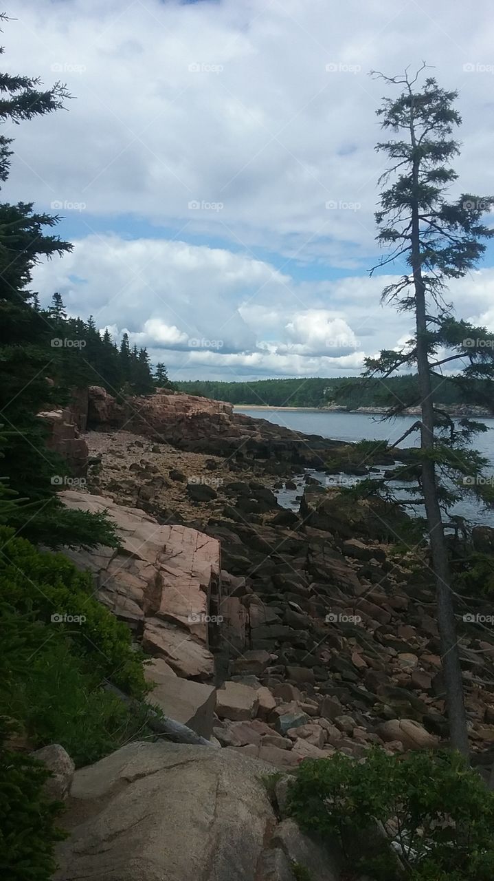 Acadia