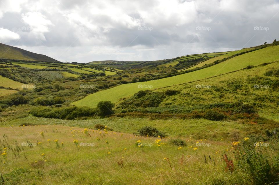 cultivated lands of Ireland