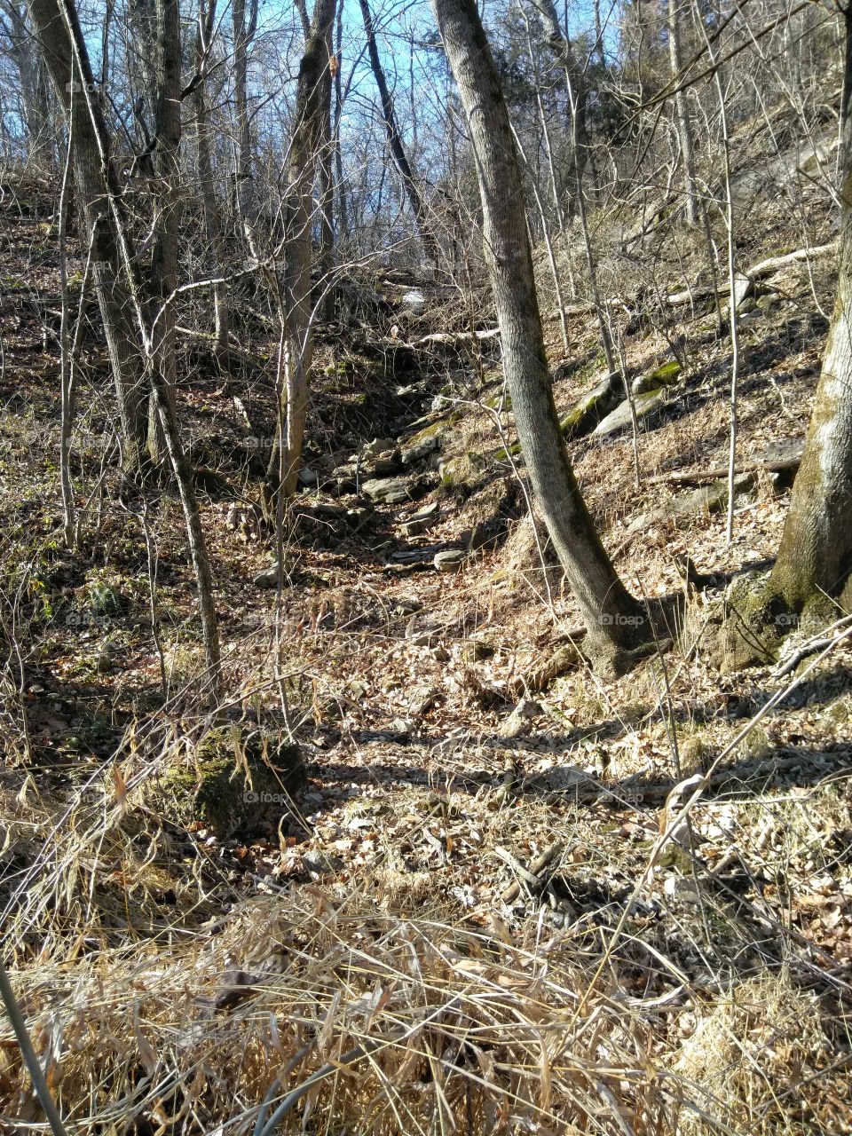 Beautiful dried up creek