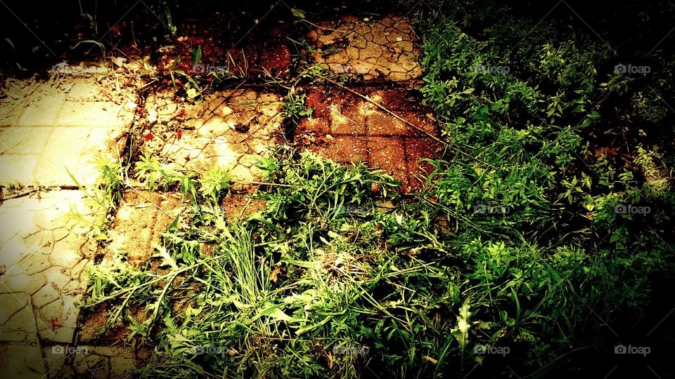 one step at a time . the stepping stones to home