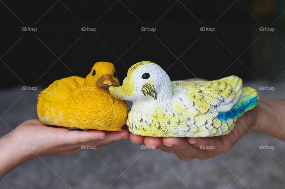 Mommy and Baby Ducks