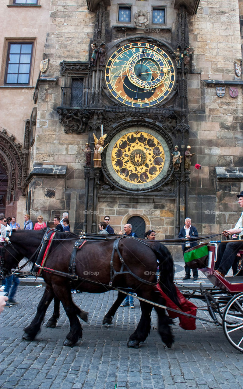 Horses and clocks