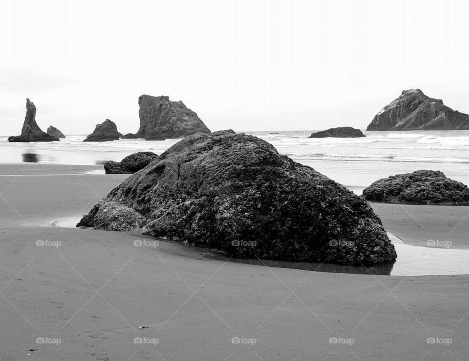 Scenic view of beach