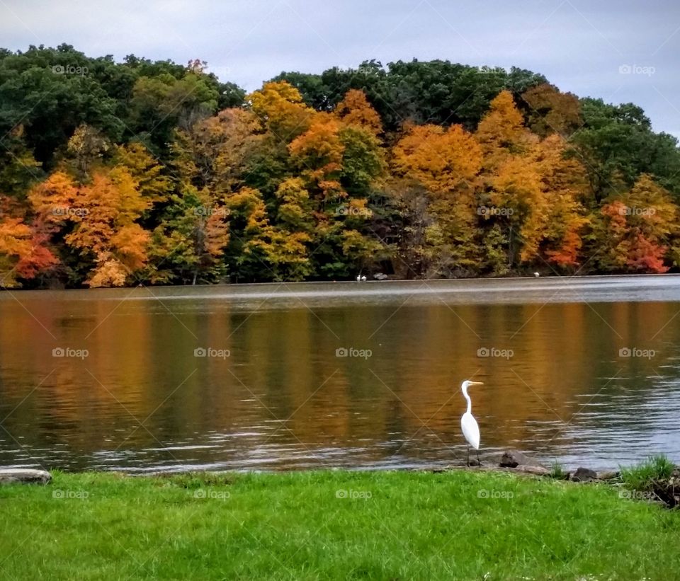 Autumn Day at the Lake