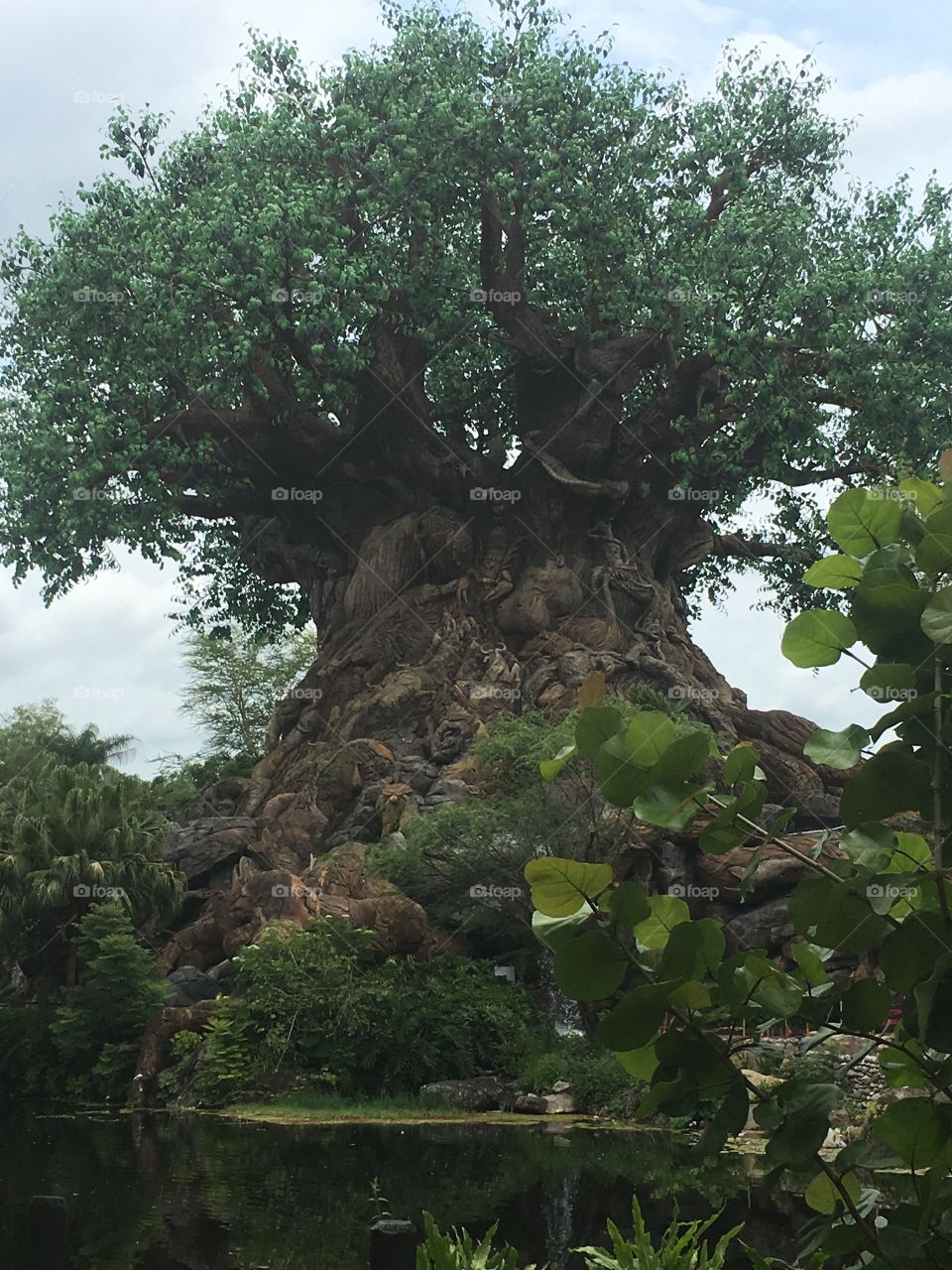 The tree of life is simply massive.