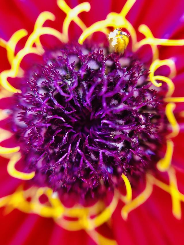 Macro shot