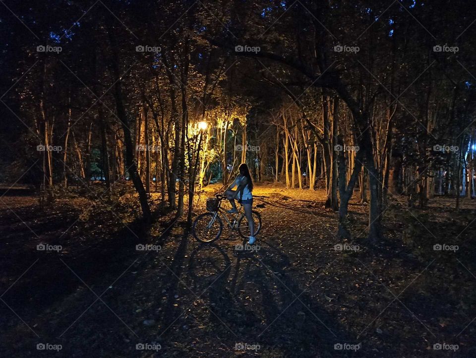 paseo nocturno en bicicleta por un bosque iluminado por un farol.
Night bike ride through a lantern-lit forest.