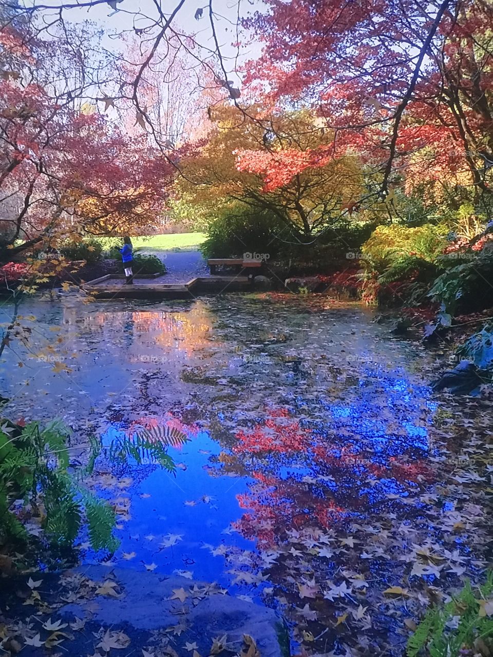 Washington autumn 