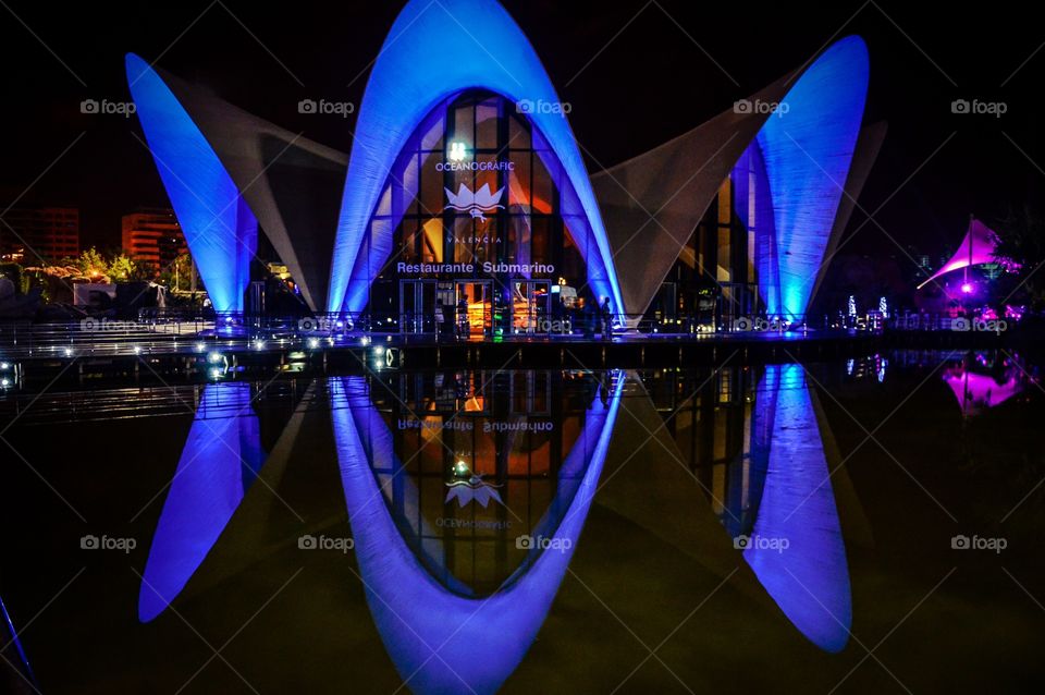 Nocturna del Oceanografico (Valencia - Spain)