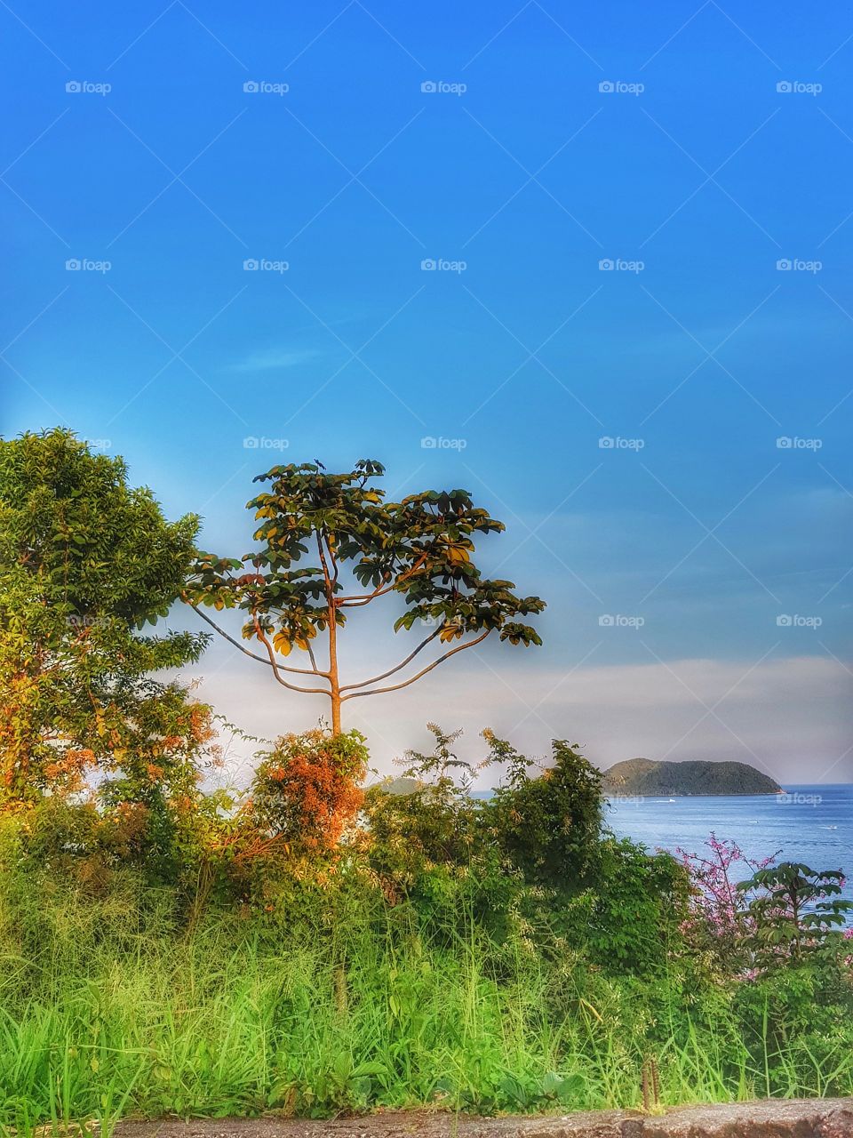 Vista do Morro de Juquehy