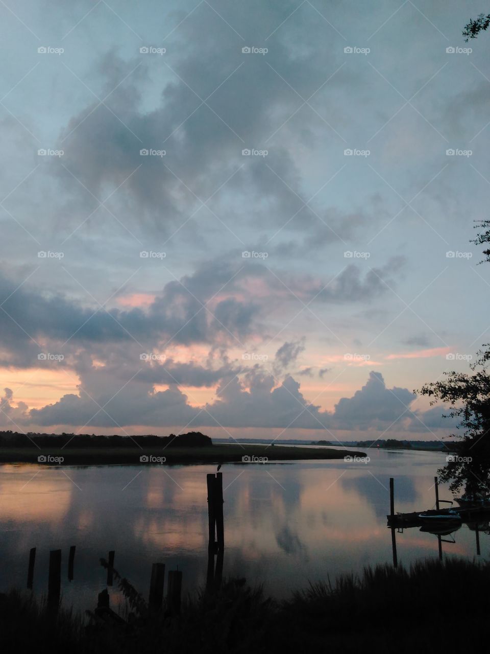 Savannah sunrise